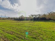 Terreno R�stico - Encarna��o, Mafra, Lisboa - Miniatura: 9/9