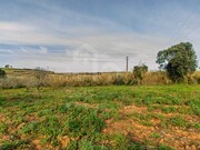 Terreno R�stico - Ericeira, Mafra, Lisboa - Miniatura: 7/9