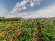 Terreno R�stico - Ericeira, Mafra, Lisboa - Miniatura: 9/9