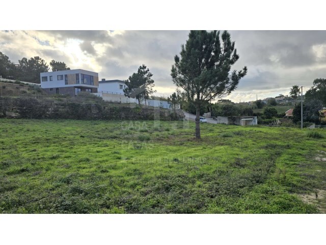 Terreno R�stico - Mafra, Mafra, Lisboa - Imagem grande