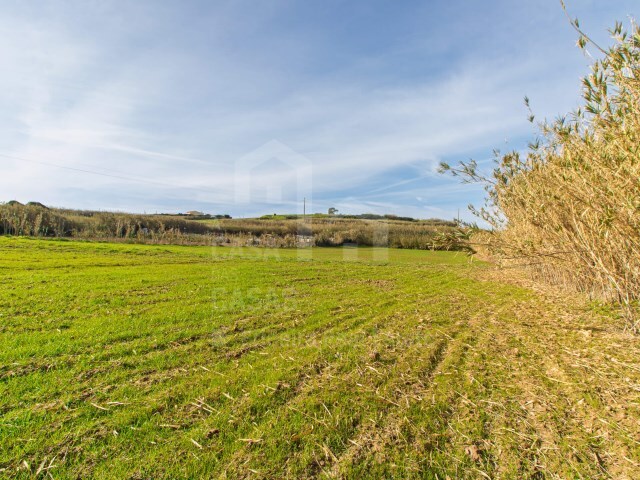 Terreno R�stico - Ericeira, Mafra, Lisboa - Imagem grande