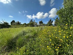 Terreno Rstico - Mafra, Mafra, Lisboa