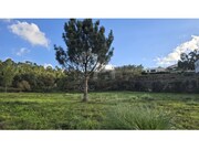 Terreno R�stico - Mafra, Mafra, Lisboa - Miniatura: 2/8