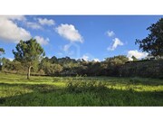 Terreno R�stico - Mafra, Mafra, Lisboa - Miniatura: 3/8