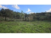 Terreno R�stico - Mafra, Mafra, Lisboa - Miniatura: 4/8