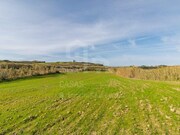 Terreno R�stico - Ericeira, Mafra, Lisboa - Miniatura: 4/9
