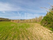 Terreno R�stico - Ericeira, Mafra, Lisboa - Miniatura: 6/9