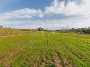 Terreno R�stico - Ericeira, Mafra, Lisboa - Miniatura: 7/9
