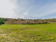 Terreno R�stico - Ericeira, Mafra, Lisboa - Miniatura: 8/9