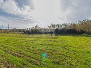 Terreno R�stico - Ericeira, Mafra, Lisboa - Miniatura: 9/9