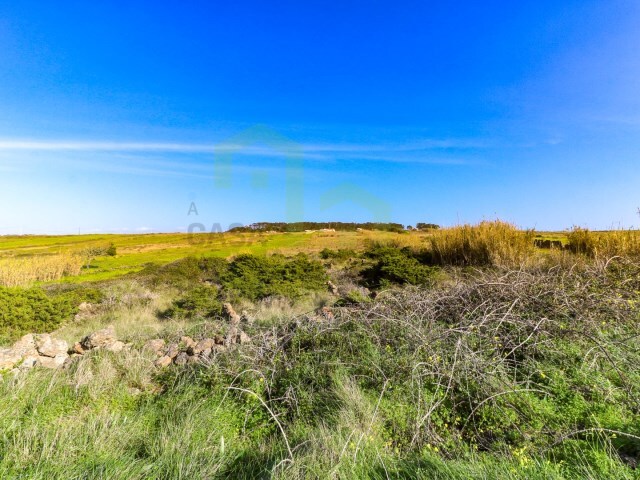 Terreno R�stico - S�o Jo�o das Lampas, Sintra, Lisboa - Imagem grande