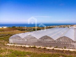 Terreno Rstico - Santo Isidoro MFR, Mafra, Lisboa