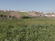 Terreno Rstico - Ventosa, Torres Vedras, Lisboa - Miniatura: 3/9