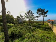 Terreno R�stico - S�o Jo�o das Lampas, Sintra, Lisboa - Miniatura: 2/7