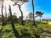 Terreno R�stico - S�o Jo�o das Lampas, Sintra, Lisboa - Miniatura: 3/7