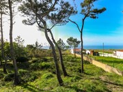 Terreno R�stico - S�o Jo�o das Lampas, Sintra, Lisboa - Miniatura: 4/7