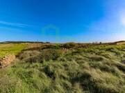 Terreno R�stico - S�o Jo�o das Lampas, Sintra, Lisboa - Miniatura: 5/7
