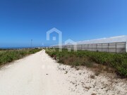 Terreno Rstico - Santo Isidoro MFR, Mafra, Lisboa - Miniatura: 4/9