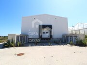 Terreno Rstico - Santo Isidoro MFR, Mafra, Lisboa - Miniatura: 7/9