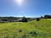 Terreno R�stico - Mafra, Mafra, Lisboa - Miniatura: 3/9