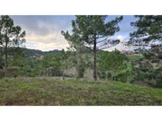 Terreno R�stico - Mafra, Mafra, Lisboa - Miniatura: 2/9