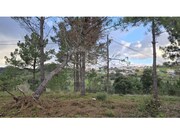 Terreno R�stico - Mafra, Mafra, Lisboa - Miniatura: 4/9