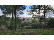 Terreno R�stico - Mafra, Mafra, Lisboa - Miniatura: 5/9