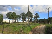 Terreno R�stico - Mafra, Mafra, Lisboa - Miniatura: 6/9
