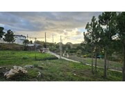 Terreno R�stico - Mafra, Mafra, Lisboa - Miniatura: 7/9