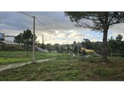 Terreno R�stico - Mafra, Mafra, Lisboa - Miniatura: 8/9