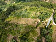 Terreno R�stico - Ericeira, Mafra, Lisboa - Miniatura: 8/9