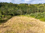 Terreno R�stico - Ericeira, Mafra, Lisboa - Miniatura: 9/9