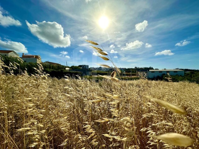 Terreno R�stico - Ericeira, Mafra, Lisboa - Imagem grande