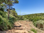 Terreno R�stico - Ericeira, Mafra, Lisboa - Miniatura: 1/9