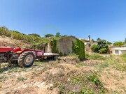 Terreno R�stico - Ericeira, Mafra, Lisboa - Miniatura: 3/9