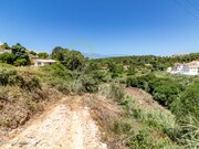 Terreno R�stico - Ericeira, Mafra, Lisboa - Miniatura: 6/9
