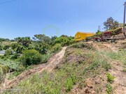 Terreno R�stico - Ericeira, Mafra, Lisboa - Miniatura: 7/9