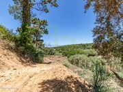 Terreno R�stico - Ericeira, Mafra, Lisboa - Miniatura: 8/9
