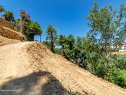 Terreno R�stico - Ericeira, Mafra, Lisboa - Miniatura: 9/9