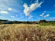 Terreno R�stico - Ericeira, Mafra, Lisboa - Miniatura: 7/9