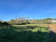 Terreno R�stico - Ericeira, Mafra, Lisboa - Miniatura: 4/5