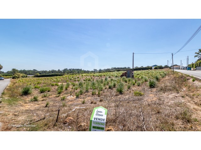 Terreno Urbano - Ericeira, Mafra, Lisboa - Imagem grande