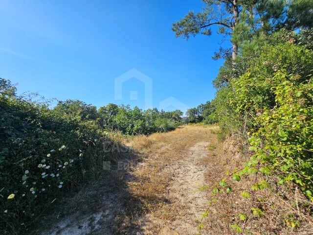 Terreno R�stico - Venda do Pinheiro, Mafra, Lisboa - Imagem grande