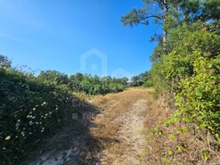 Terreno R�stico - Venda do Pinheiro, Mafra, Lisboa
