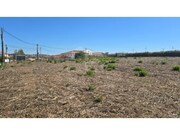 Terreno Rstico - Ventosa, Torres Vedras, Lisboa - Miniatura: 1/6