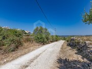 Terreno R�stico - S�o Jo�o das Lampas, Sintra, Lisboa - Miniatura: 3/7