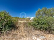 Terreno R�stico - S�o Jo�o das Lampas, Sintra, Lisboa - Miniatura: 4/7