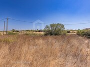 Terreno R�stico - S�o Jo�o das Lampas, Sintra, Lisboa - Miniatura: 5/7