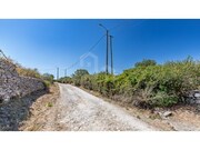 Terreno R�stico - S�o Jo�o das Lampas, Sintra, Lisboa - Miniatura: 7/7