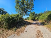 Terreno R�stico - Venda do Pinheiro, Mafra, Lisboa - Miniatura: 2/9